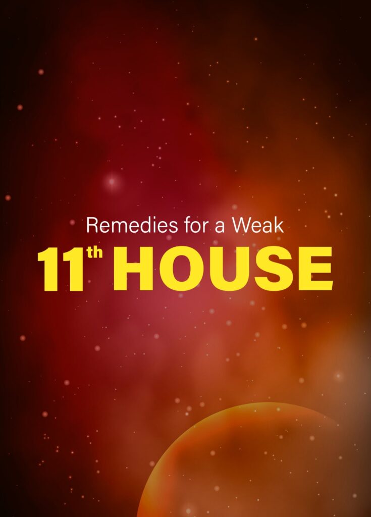Understanding the 11th House in Vedic astrology with insights from a vastu shastra expert in Pune